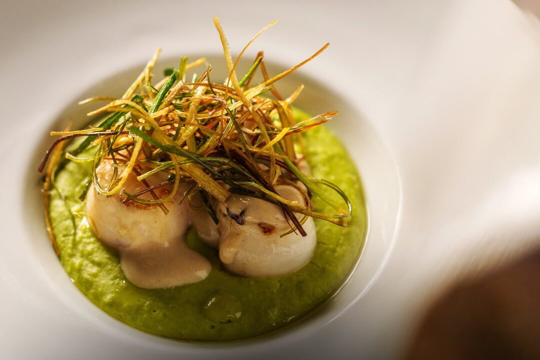 Vieiras Canadenses Grelhadas com purê de ervilha e crocante de alho poró | Foto: Instagram @rubaiyatbrasil